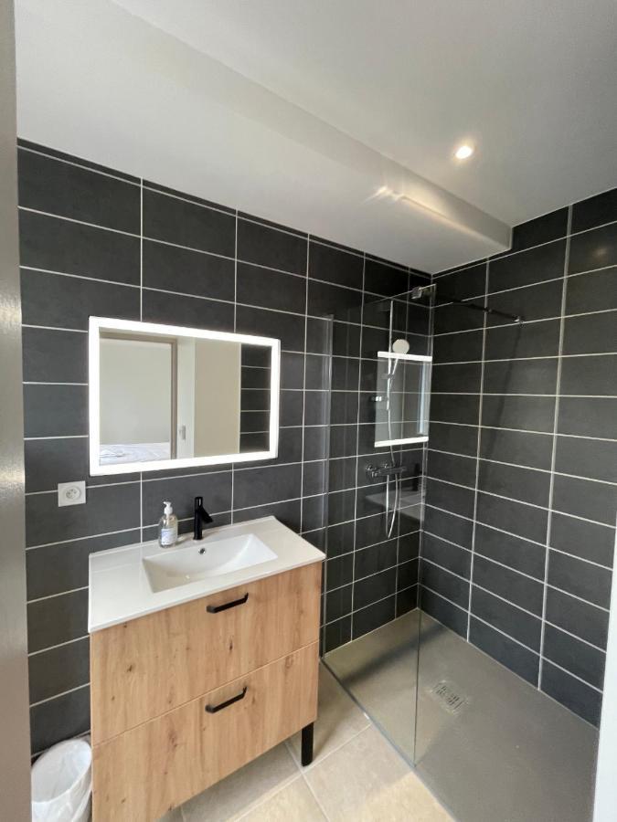 Le Salvador - Appart'Hotel De 18M2 A 44M2 La Talaudiere Esterno foto