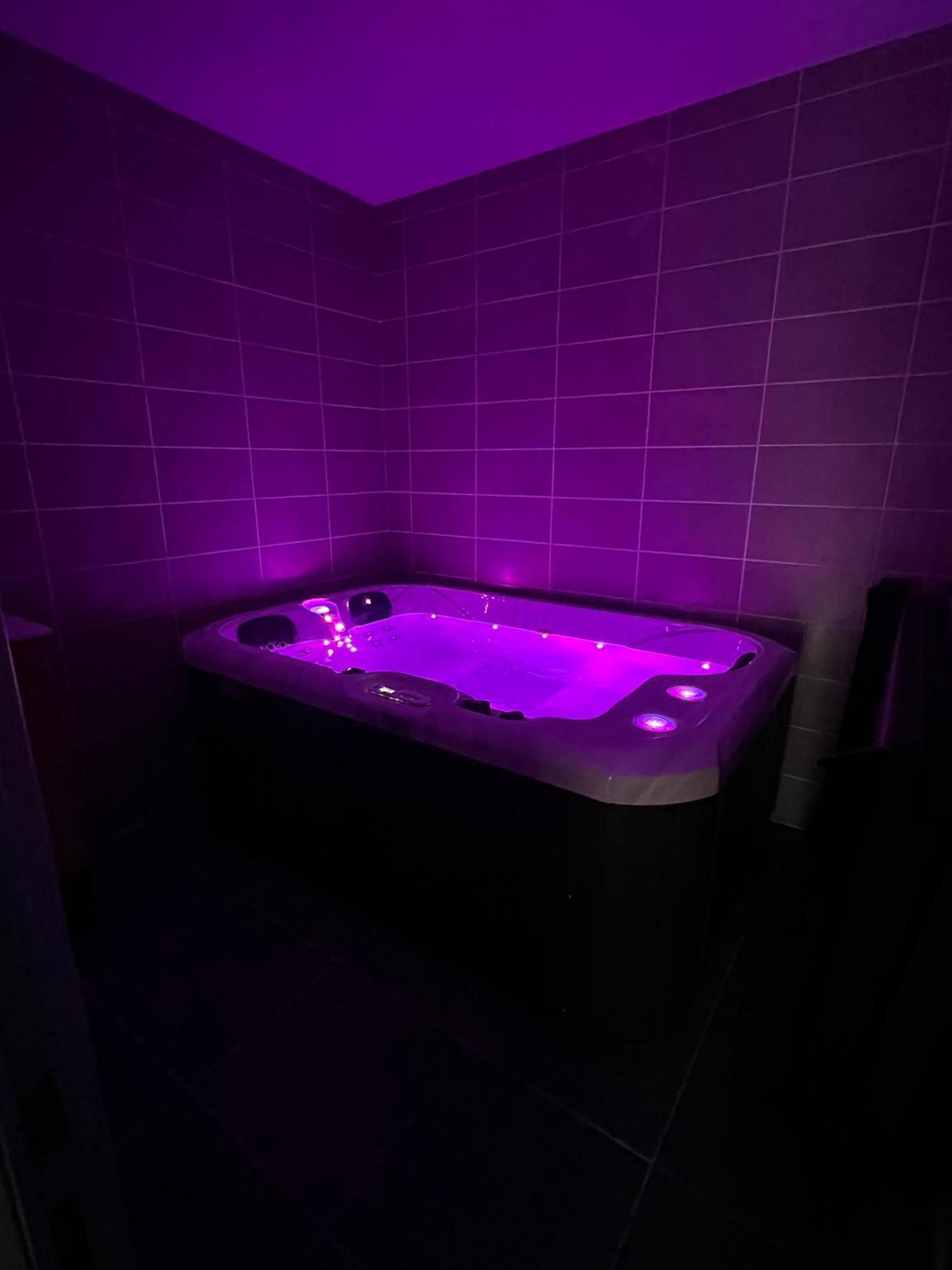 Le Salvador - Appart'Hotel De 18M2 A 44M2 La Talaudiere Esterno foto